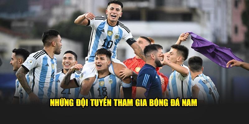 Những đội tuyển tham gia bóng đá nam